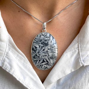 May include: A silver pendant necklace featuring an oval-shaped stone with a black and white pattern. The pendant is suspended from a delicate silver chain. The necklace is worn against a white shirt.