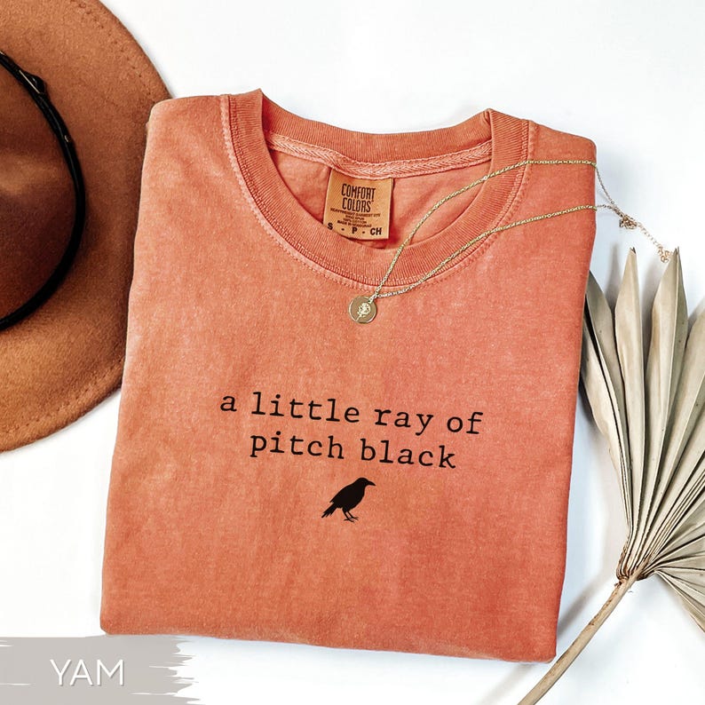 May include: A coral-colored Comfort Colors t-shirt with the phrase "a little ray of pitch black" and a small raven graphic. A gold necklace and a brown hat are also visible.