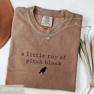 May include: Espresso-colored t-shirt with the text "a little ray of pitch black" and a raven graphic. A silver necklace with a small pendant rests on the shirt. The shirt has a crew neck and a Comfort Colors tag.