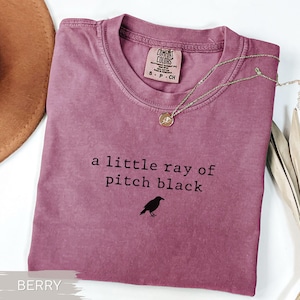 May include: Berry-colored t-shirt with the phrase "a little ray of pitch black" and a small raven graphic. The shirt has a crew neck and short sleeves. A gold necklace with a pendant is draped on the shirt.