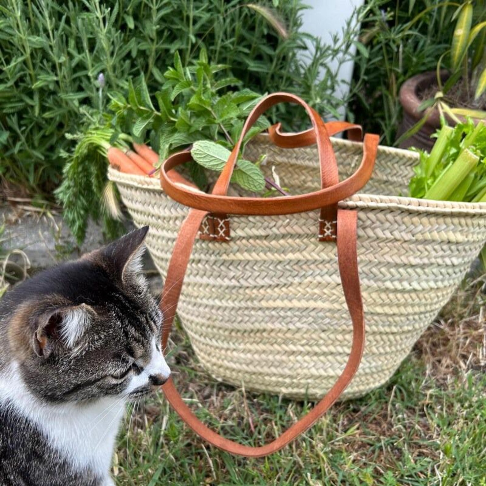 French Market Straw Tote With Leather Handles | Handwoven Moroccan ...