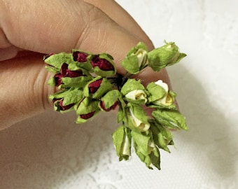 A bunch of Mulberry Rose Buds