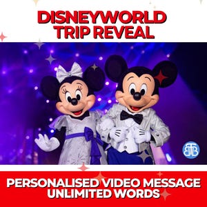 Disney World- Personalised Surprise Video, Surprise Trip Reveal for your Magical Trip