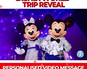 Disney World- Personalised Surprise Video, Surprise Trip Reveal for your Magical Trip