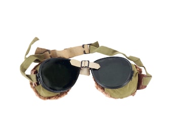 US Army Foster Grant 10th Mountain Division Glacier Goggles