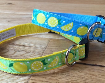 3/4" width Lemons Pattern Dog Collar