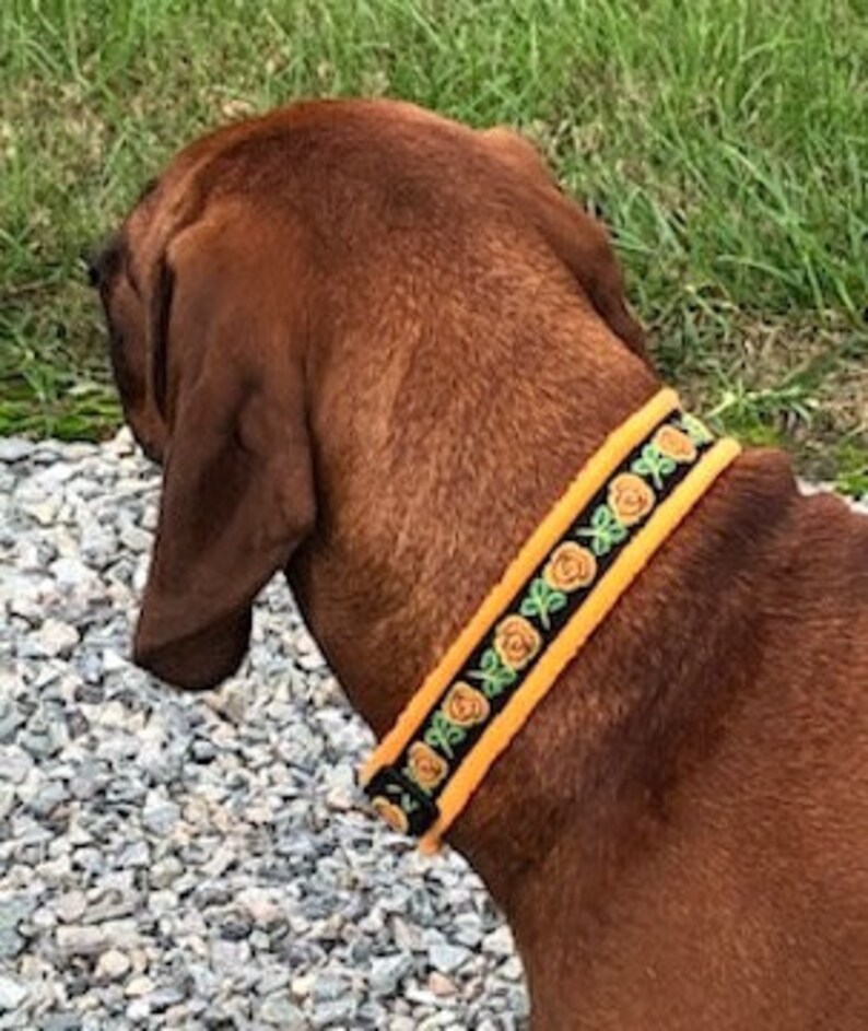 MEDIUM Width BROCADE Padded Patterned Dog Collars made to Etsy