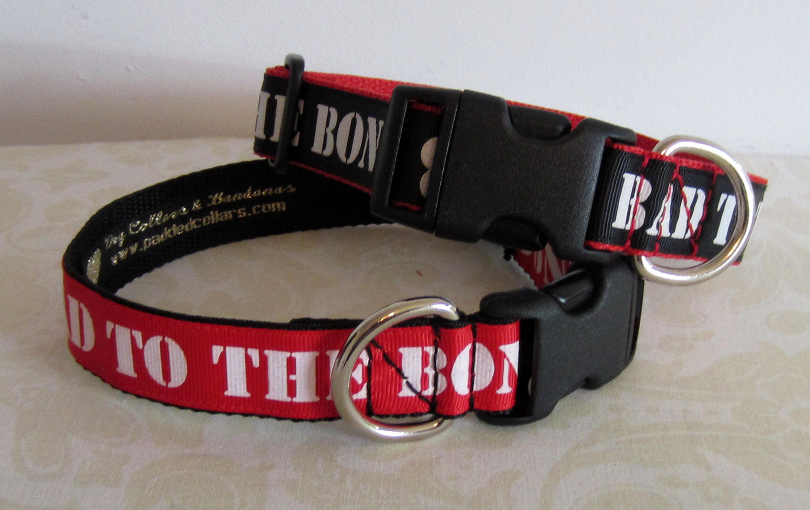 Are Dog Collars Bad For Dogs