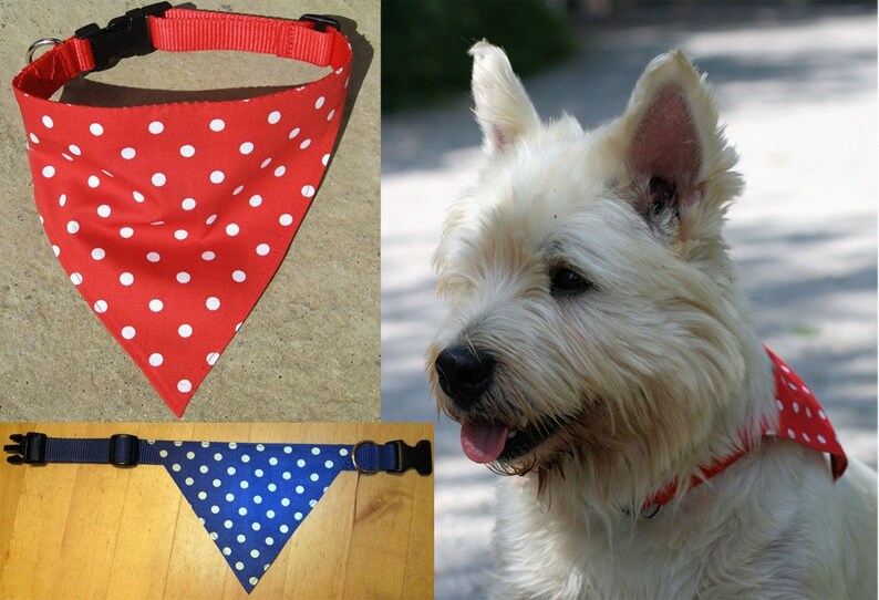 Bandana Dog Collar Many Polkadot Colour Choices All Sizes Etsy