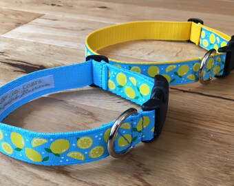 1" Lemons Pattern Dog Collar - larger dogs