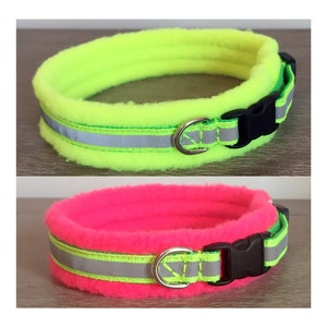 NARROW Width - Reflective Safety Colours - Padded Dog Collar - small / tiny dogs