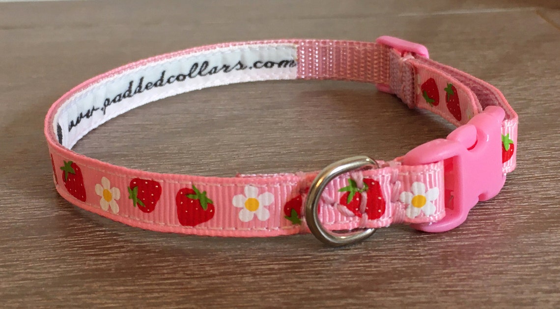 Strawberries Dog Collar 3/8 Width for Tiny Dogs / Etsy