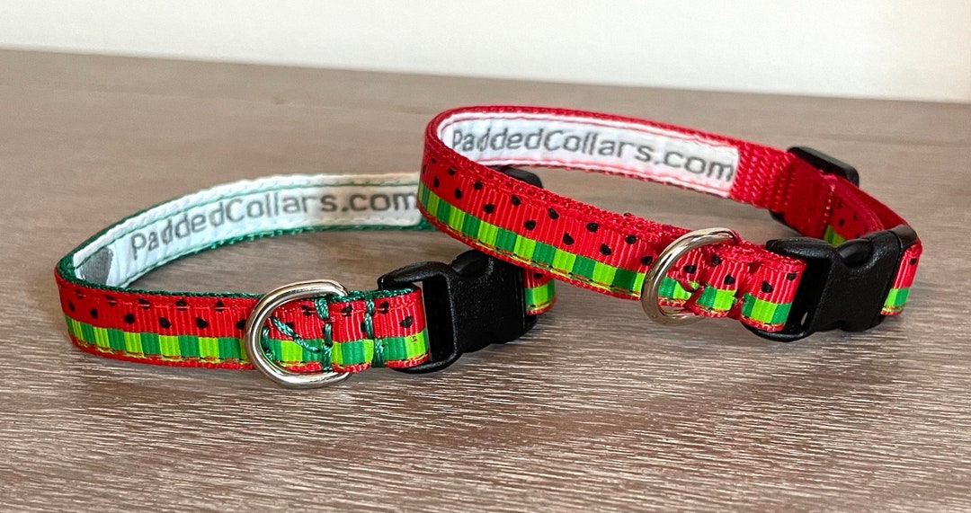 3/8 Width Red Watermelon Dog Collar Narrow Width for Tiny Dogs