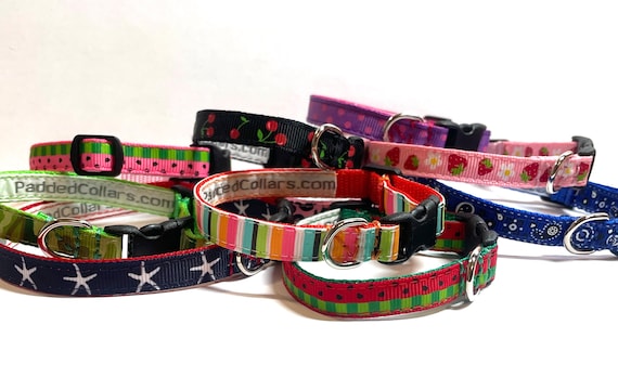 Dog collars for small breeds 2025