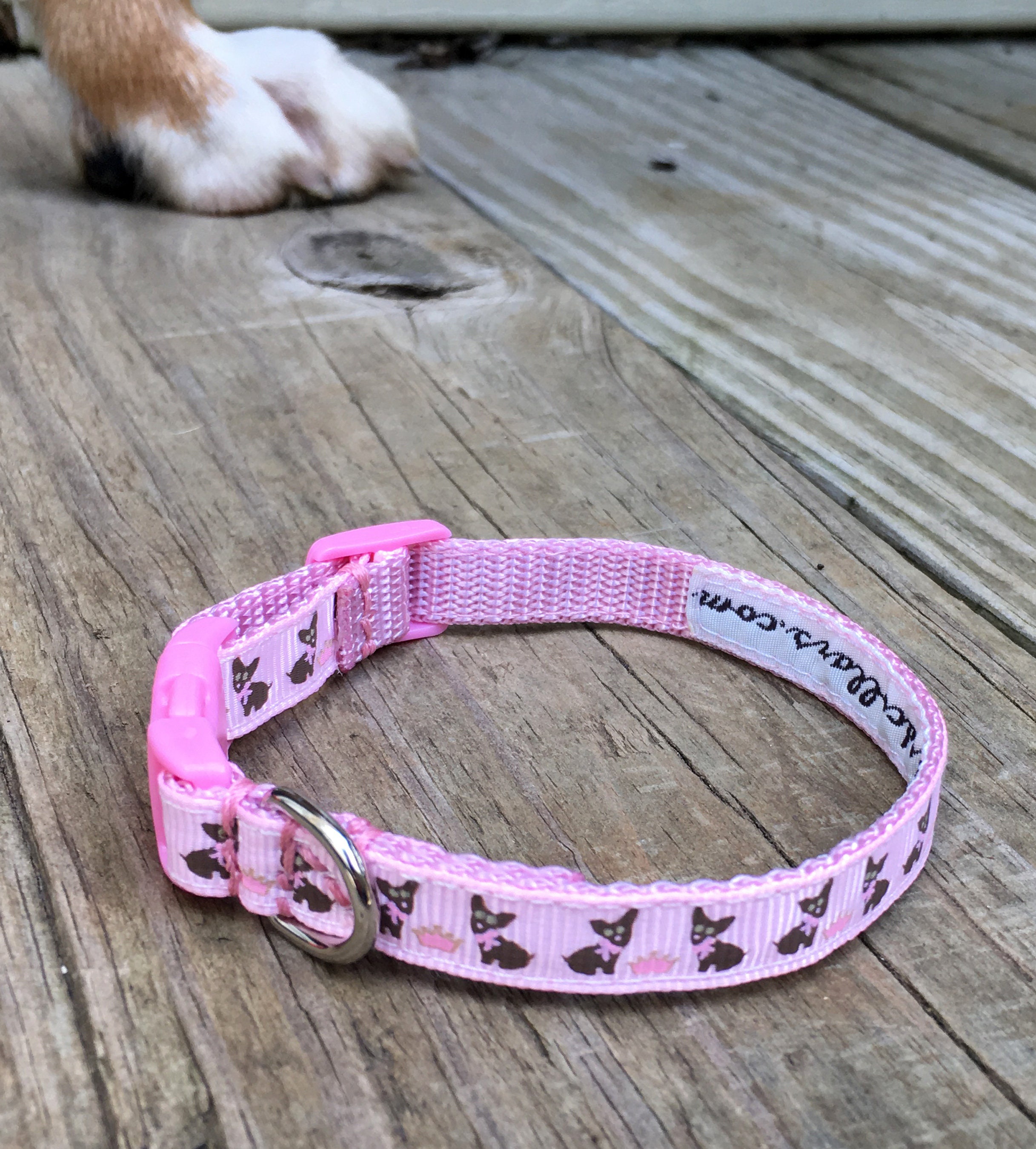 3/8 width Chihuahua / Teacup Dog & Puppy Collars Etsy