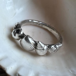 Könnte beinhalten: Ein silberner Ring mit detaillierten Muscheldesign. Der Ring hat ein glattes Band, und die Muscheln sind aufwendig geformt, mit verschiedenen Texturen und Formen. Der Ring wird auf einer weißen Muschel präsentiert, was sein maritimes Thema unterstreicht.