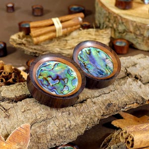 Saba & Abalone-propp / mätare - Dubbelutvidgade träöronproppar / mätare i 10 mm (00 g) - 40 mm (1 9/16 tum)