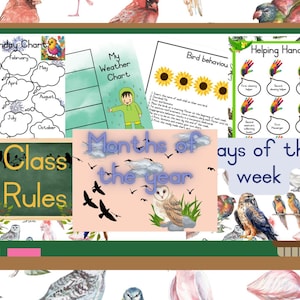 Posters in klaslokaal met vogelthema: regels (8), inspiratie (5), gedrag (5), verjaardag, taken, weerkaart, dagen (8), maanden (13)
