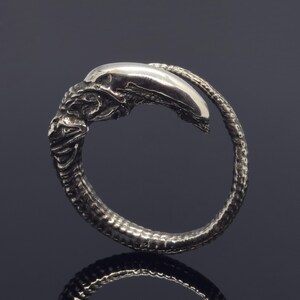 May include: A silver-toned metal ring featuring a sculpted creature design with an elongated, smooth head and a textured, segmented tail that wraps around to form the circular band. The metallic surface has dark, recessed detailing throughout.