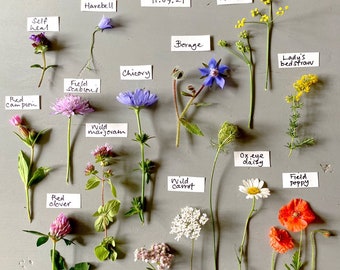 Limited edition botanical fine art print that can improve mental health