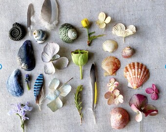 Limited edition small fine art print of spring nature collection that can improve mental health