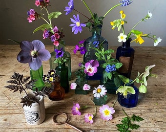 Limited edition fine art print of March garden finds, that can improve mental health