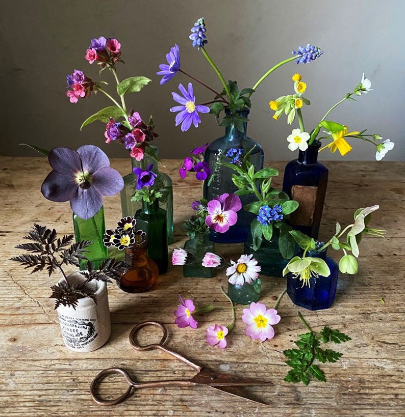 Puede incluir: Un arreglo de flores coloridas en peque&ntilde;as botellas de vidrio vintage sobre una superficie de madera. El arreglo incluye flores moradas, rosas, amarillas y blancas. Unas tijeras antiguas est&aacute;n en primer plano.