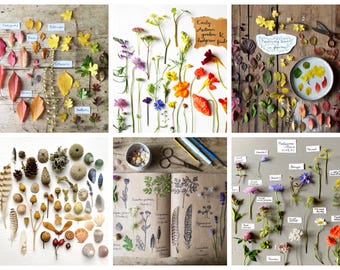 Tarjetas de felicitación de la colección floral y natural de otoño que pueden mejorar la salud mental 6 DISEÑOS