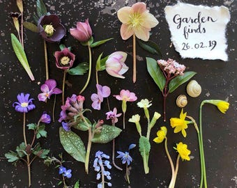 Limited edition fine art print of early spring garden finds, that can improve mental health