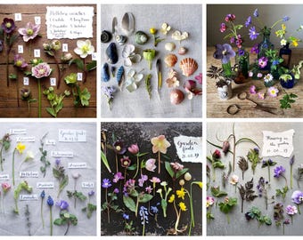 Tarjetas de felicitación de colección floral de primavera que pueden mejorar la salud mental 6 DISEÑOS