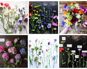 Tarjetas de felicitación de colección floral de verano que pueden mejorar la salud mental 6 DISEÑOS