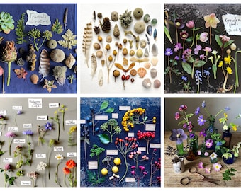 Nature collection greetings cards that can improve mental health 6 DESIGNS