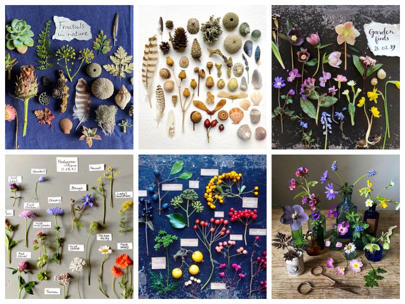 Puede incluir: Una colecci&oacute;n de elementos naturales, incluyendo hojas, conchas, plumas y vainas de semillas, dispuestos sobre una superficie azul. El texto "Fractals in nature" es visible. La imagen muestra una variedad de texturas y colores.