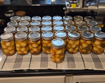 Seal's Family Farm Pickled Quail Eggs