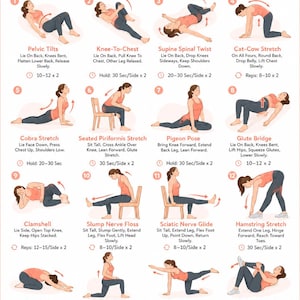 May include: An instructional chart titled Sciatica Pain Relief Exercises featuring twelve numbered illustrations of a person in peach-colored athletic wear performing various stretches, including pelvic tilts, glute bridges, and hamstring stretches.