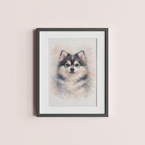 May include: Framed watercolor painting of a fluffy dog with black, white, and gray fur. The dog has blue eyes and a slightly open mouth. The artwork is in a black frame and hangs on a light pink wall.