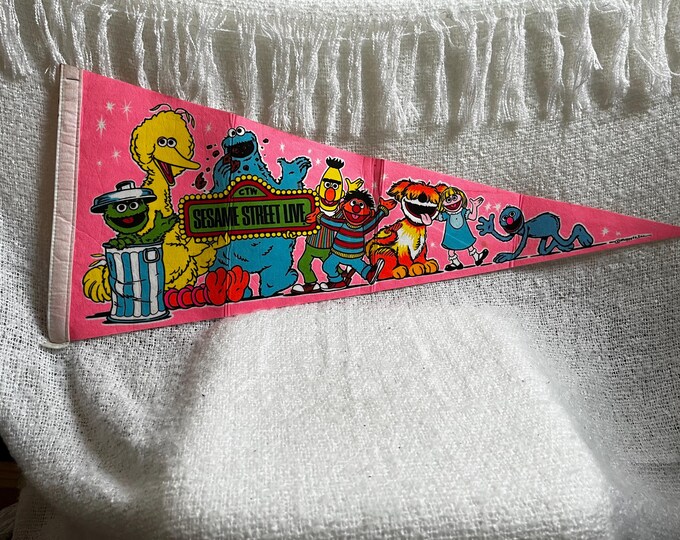 Vintage Sesame Street Pink Felt Pennant - Etsy