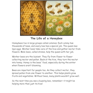 May include: An educational worksheet titled "Reading Comprehension Worksheet: Ask & Answer Questions." The image shows illustrations of honeybees, a honeycomb, and flowers. The text explains the life cycle and importance of honeybees, ideal for educational use.
