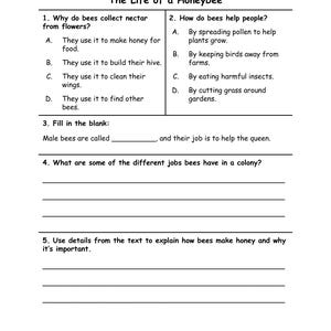 May include: A worksheet about honeybees, titled "The Life of a Honeybee". It features questions on bee behaviour and honey production. The worksheet includes multiple-choice, fill-in-the-blank, and open-ended questions for educational use.