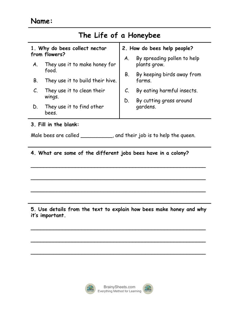 May include: A worksheet about honeybees, titled "The Life of a Honeybee". It features questions on bee behaviour and honey production. The worksheet includes multiple-choice, fill-in-the-blank, and open-ended questions for educational use.