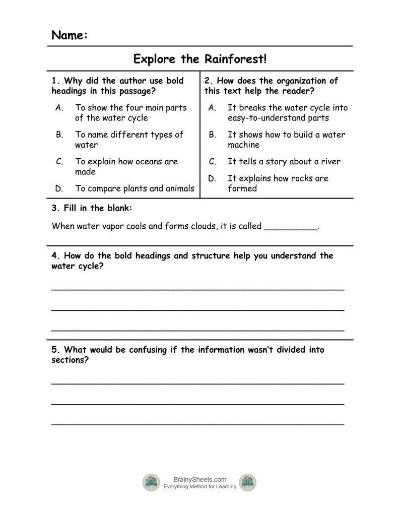 May include: A white worksheet titled "Explore the Rainforest!" with questions about the water cycle. The worksheet includes multiple-choice and fill-in-the-blank questions. The BrainySheets.com logo is at the bottom.
