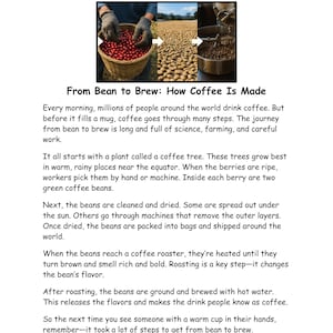 May include: Reading comprehension worksheet detailing the coffee-making process. The image illustrates the stages: harvesting red coffee cherries, drying beans, and roasting. The text explains the journey 'from bean to brew'.