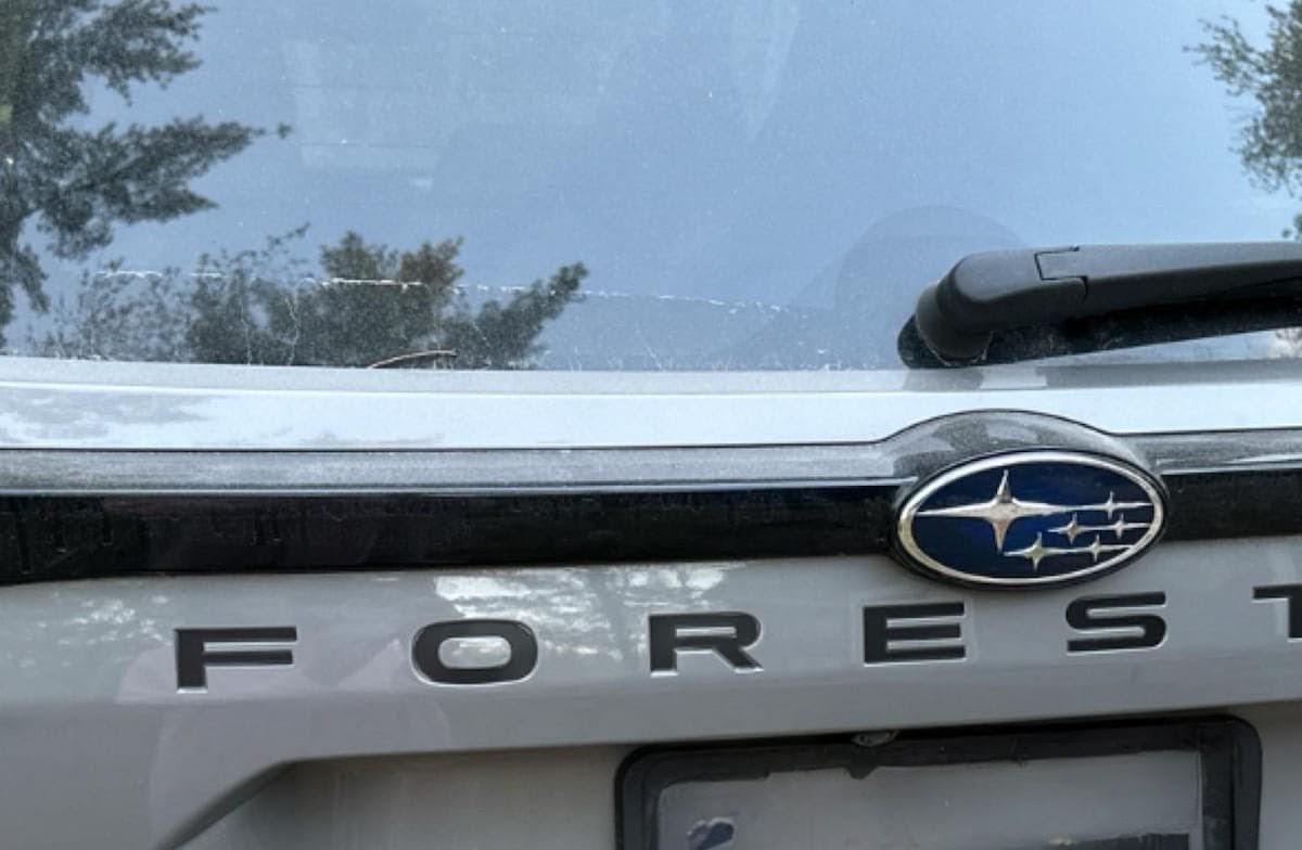 Subaru Back Lettering 2025-2026 Subaru Forester Tailgate Lettering Decals (cast Vinyl) - Etsy