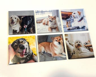 Custom Pet Photo Magnets - Personalized Dog & Cat Keepsake