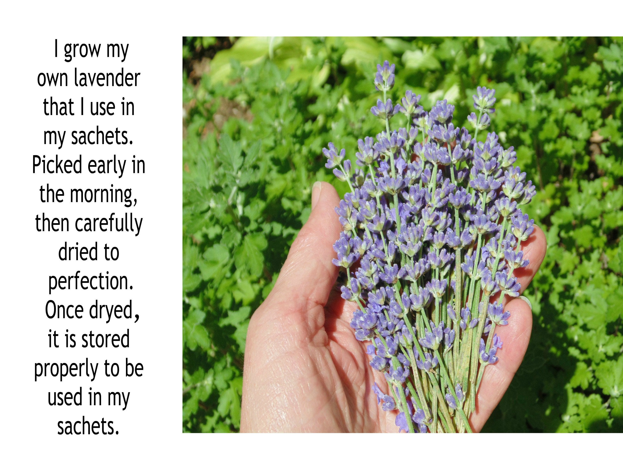 Lavender sachet embroidered linen drawer or luggage freshener Etsy