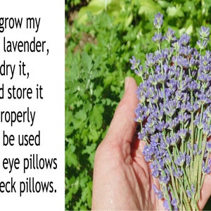 Microwavable lavender eye pillow with flax seed in soft flannel fabric image 5