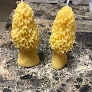 Pair of 100% Pure Beeswax morel mushroom candles