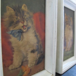May include: Two framed pictures of cats. The picture on the left shows a gray and white cat with a blue bow tie sitting on a red cushion. The picture on the right shows a gray and white cat sitting on a white surface. Both pictures have white frames.