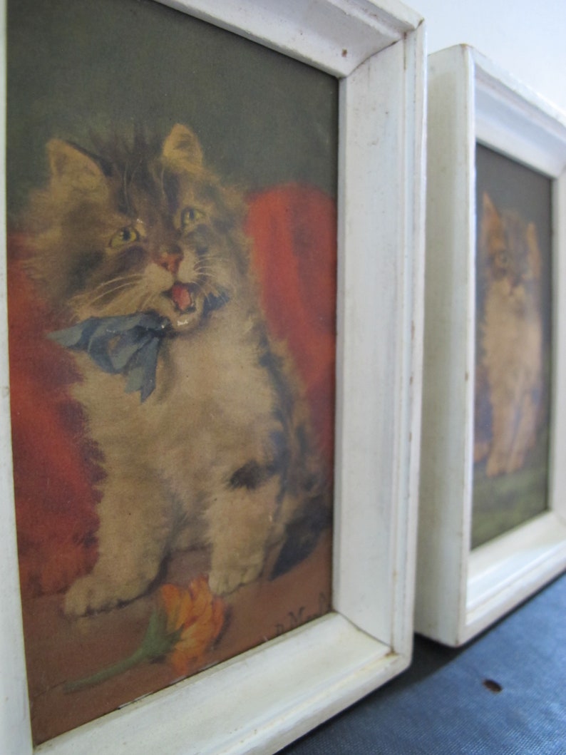 May include: Two framed pictures of cats. The picture on the left shows a gray and white cat with a blue bow tie sitting on a red cushion. The picture on the right shows a gray and white cat sitting on a white surface. Both pictures have white frames.