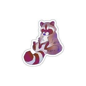 Raccoon Sitting Awkwardly